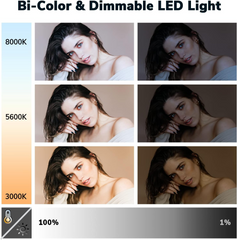 D50 Photography Lighting Kits